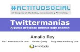 Amalio Rey: Twittermanias: Algunas practicas tuiteras bajo examen