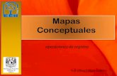 Mapas conceptuales. operaciones de registro
