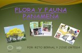 Flora y fauna panameña