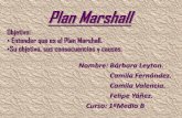 Camila fernandez plan marshall