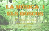 2ª Setmana de la Música: La música i els boscos.