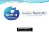 ¿Qué es CICYTEX?