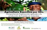 Karolina Argote - Agricultura Especifica por Sitio SENA Neiva