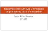 Desarrollo Del CurríCulo Y FormacióN De Profesores Innovacion Seiem