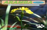 Revista ARAMBA Nº 2