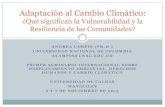 Lampis, A. (2013). Adaptación al Cambio Climático ¿Qué significan la Vulnerabilidad y la Resiliencia de las Comunidades?