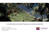 La biodiversidad de los Andes Tropicales y los cambios ambientales. Francisco Cuesta.
