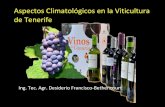 Influencia del clima en los viñedos