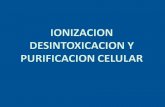 Ionizacion y desintoxicacion celular