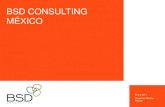 BSD Consulting Mexico