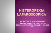 Histeropexia laparoscopica 2013