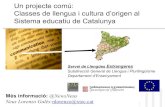 Un Projecte Comu:Classes de llengua i cultura d'Origen