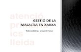 2012 10: Atencio primaria Lleida: Gestió de la malaltia en xarxa