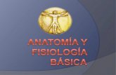 Anatomía y fisiología new