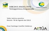 Presentación betulia oficial corporacion corantioquia 12 - 13 agosto  2013 - copia