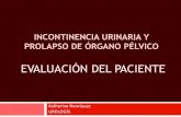 Incontinencia Urinaria y Prolapso de Organo Pelvico: Evaluacion