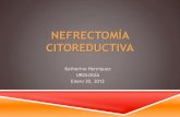 Nefrectomia citorreductiva