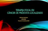 Terapia focal en cancer de prostata localizado