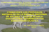 Condición de los pastizales naturales en la Reserva Nacional De Salinas y Aguada Blanca: evaluación e interpretación agrostoedafológica
