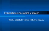 EstratificacióN Racial Y éTnica 10 Cap 9
