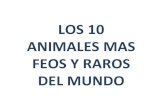 Los 10 Animales MáS Feos