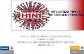 Influenza A H1 N1