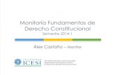Monitoria final fundamentos de derecho constitucional 2014-1