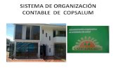 Sistema de  organización contable de  copsalum