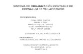 Sistema de  organización contable de  copsalum (1)
