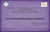 Medicina Preventiva Y Salud Pública II;Contaminación Auditiva