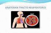 Exposicion asma, neumoconiosis (2)