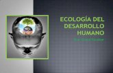 Expo # 1 ecología del desarrollo humano