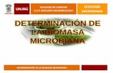 Determinacion de biomasa_microbiana