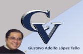 Curriculum Vitae Gustavo López Tello 2012