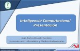 Presentación inteligencia computacional