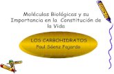 MoléCulas BiolóGicas Y Su Importancia En La ConstitucióN