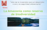 La Amazonia 5 "C"