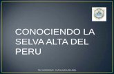 SELVA ALTA DEL PERU