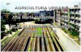 Agricultura urbana 3'