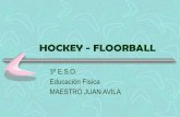 Ud hockey   floorball