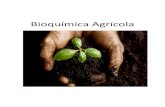 Bioquímica agrícola