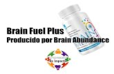 Brain Fuel Plus Detallado