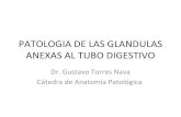 Patologia de las glandulas anexas al tubo digestivo