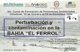 Natura Epa 05   Perturbacion Y Contaminacion De La BahíA El Ferrol Blg  Romulo Loayza