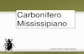 Carbonífero mississipiano. lizette cortes. paleontología.2013