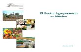 Sector agropecuario mexico