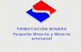Tributación minera de la ppm y pma