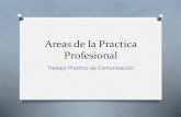 Areas de la Practica Profesional