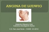 (2012-02-02)Angina de Ludwig.ppt