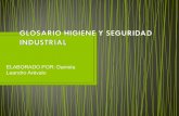 Presentación Higiene y Seguridad Industrial